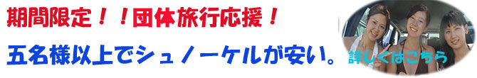 夏割体験ダイビング