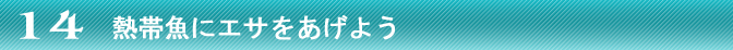 熱帯魚に餌あげ