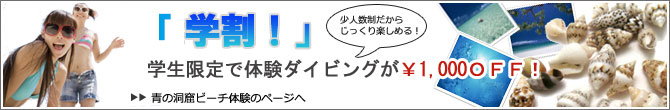 大学割体験ダイビング